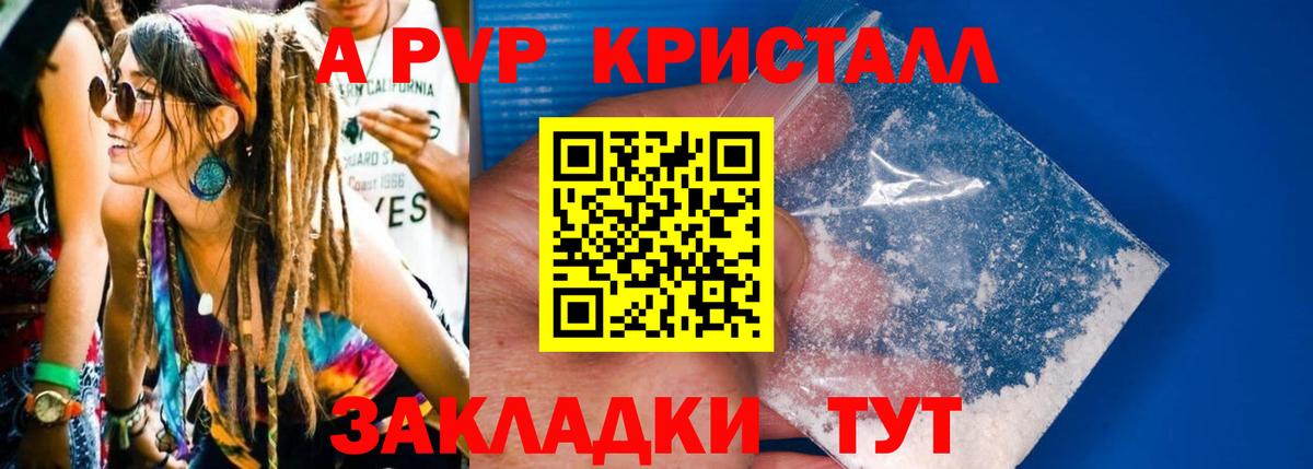 A-PVP СК КРИС Новочеркасск