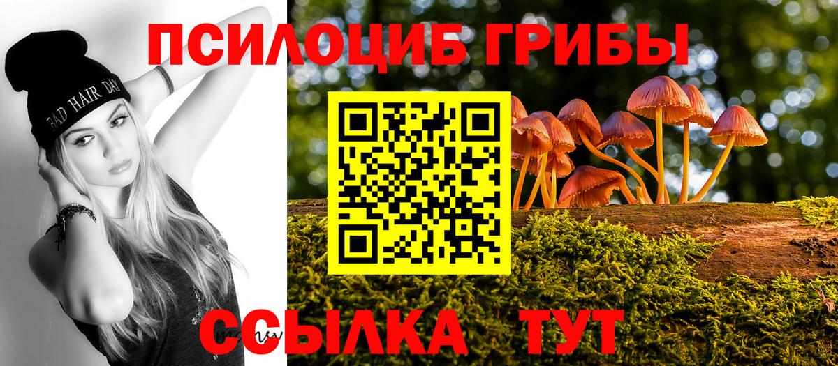 Новочеркасск  Галлюциногенные грибы Psilocybe  Галлюциногенные грибы Cubensis  Вход с VPN 